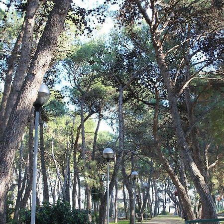 La Pigna Bed & Breakfast Руво ди Пуля Екстериор снимка